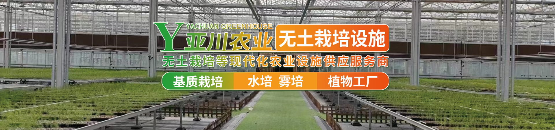 首页