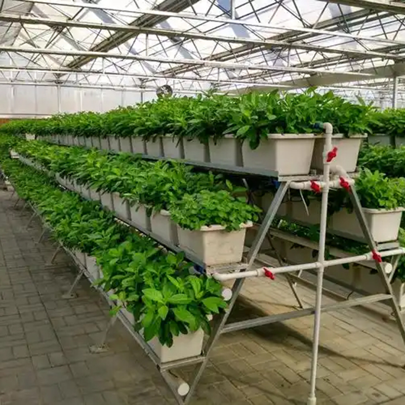 济南市植物工厂植物工厂 - 推荐