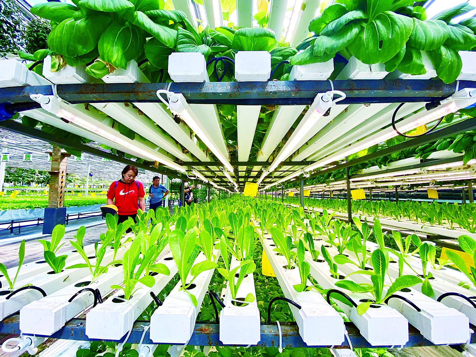 济南市苗床植物工厂 - 一站式服务